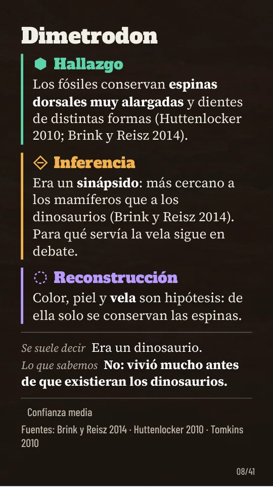 Edición para celular: ficha de Dimetrodon