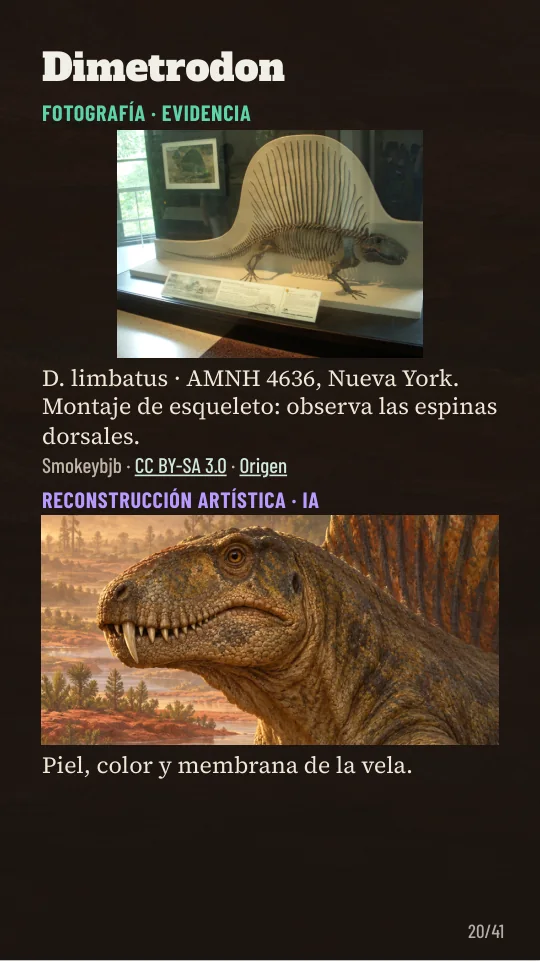 Edición para celular: fósil real y reconstrucción
