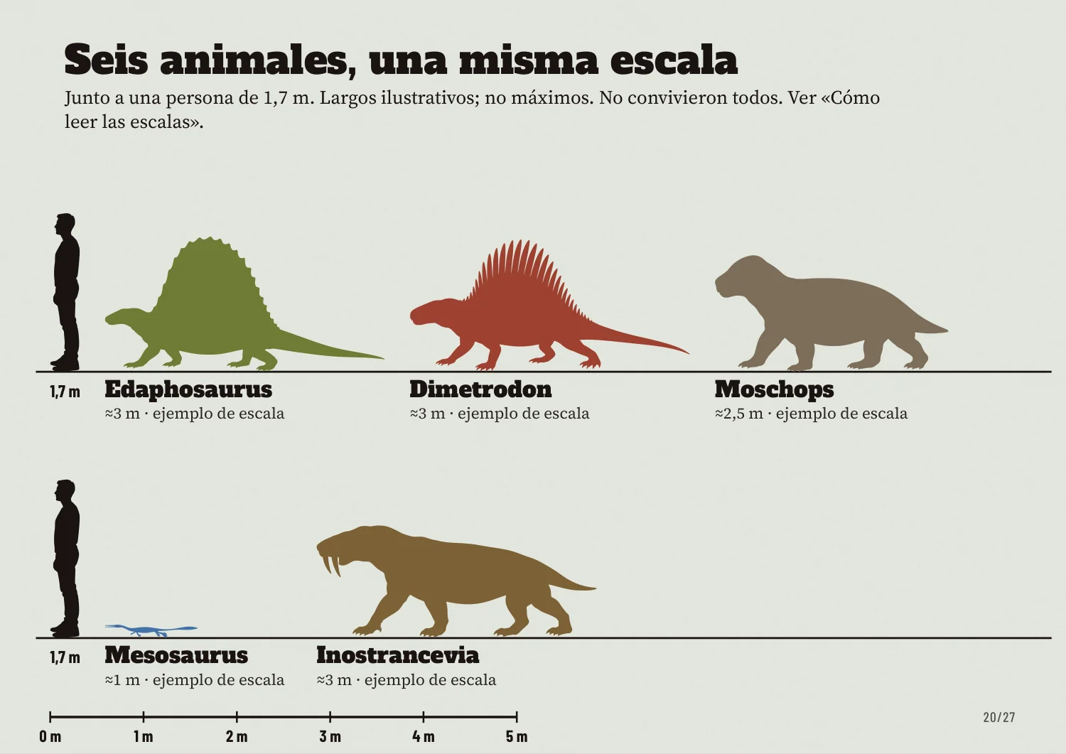 Siluetas de los animales junto a una persona de 1,7 metros